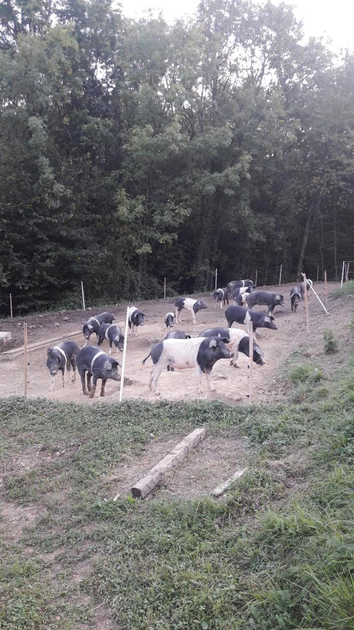 Alloggio per agriturismo La Soglia Del Parco *
